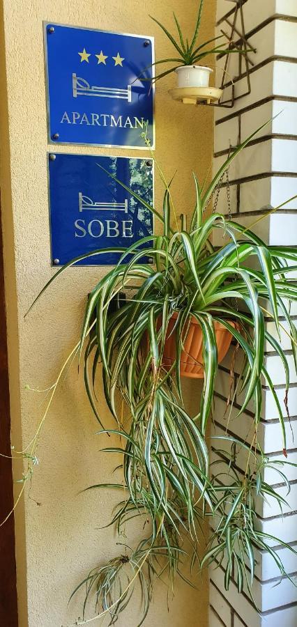 Aneli Rooms & Apartament Rovinj Ngoại thất bức ảnh